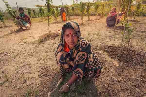 A woman farming in a rural field cultivating natural ingredients for Health Focussed Swadeshi food products.